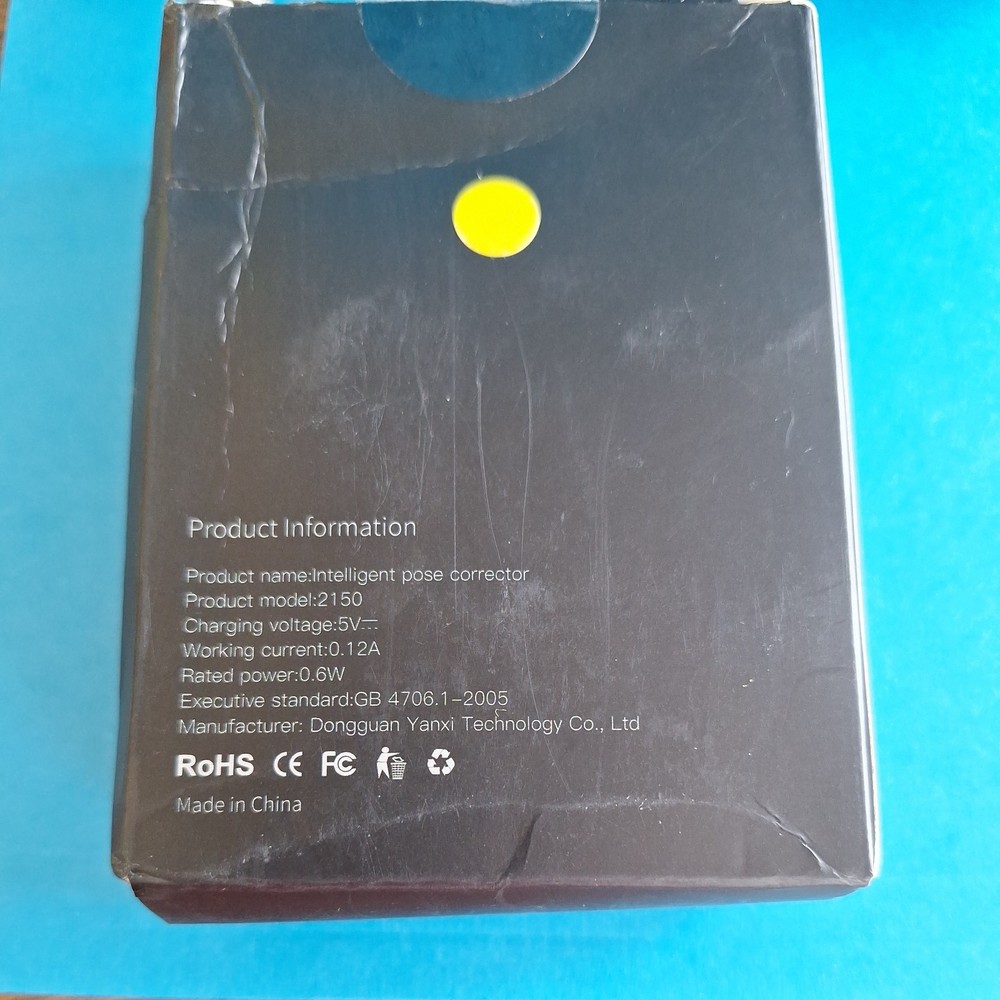 2 INTELLIGENT POSE CORRECTORS