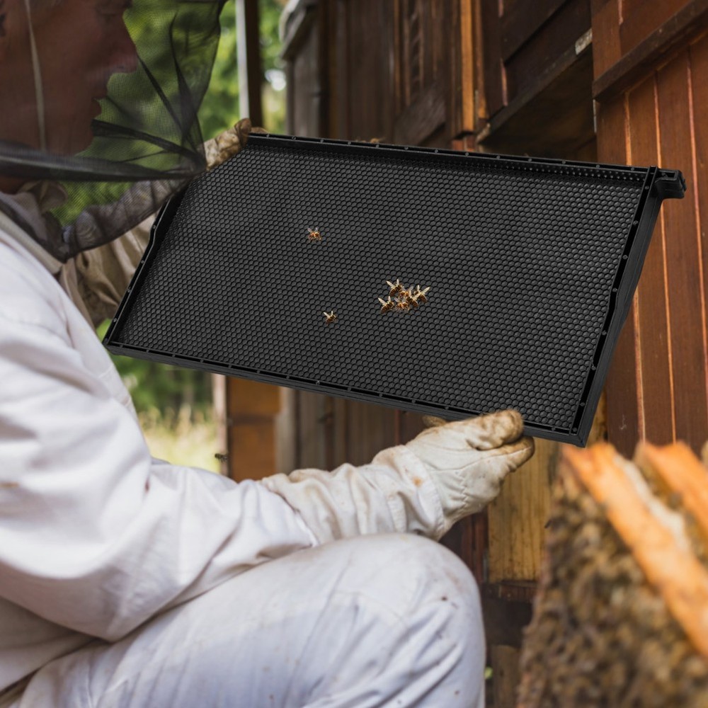 Integrated Beehive Frame with Nest Foundation for Beekeeping Efficiency