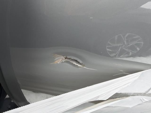 S60 2024 Chassis ECM 490785