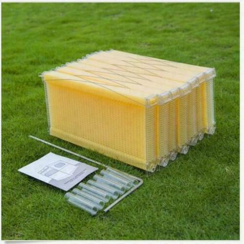 7x Auto Plastic Beekeeping Frames Honey Comb Frames For Beehive House Boxes US