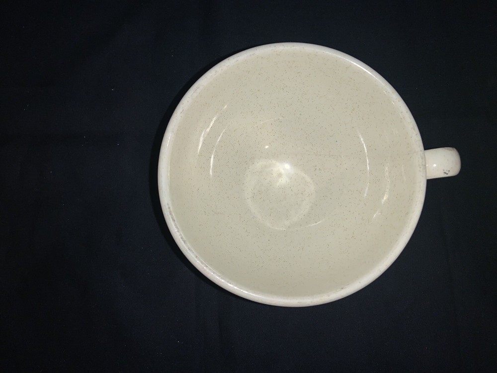 Franciscan AUTUMN Cup & Saucer