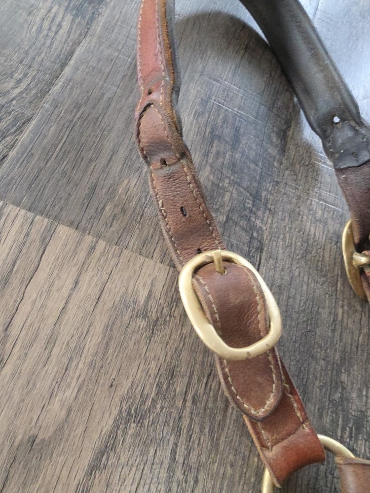 Horse Halter