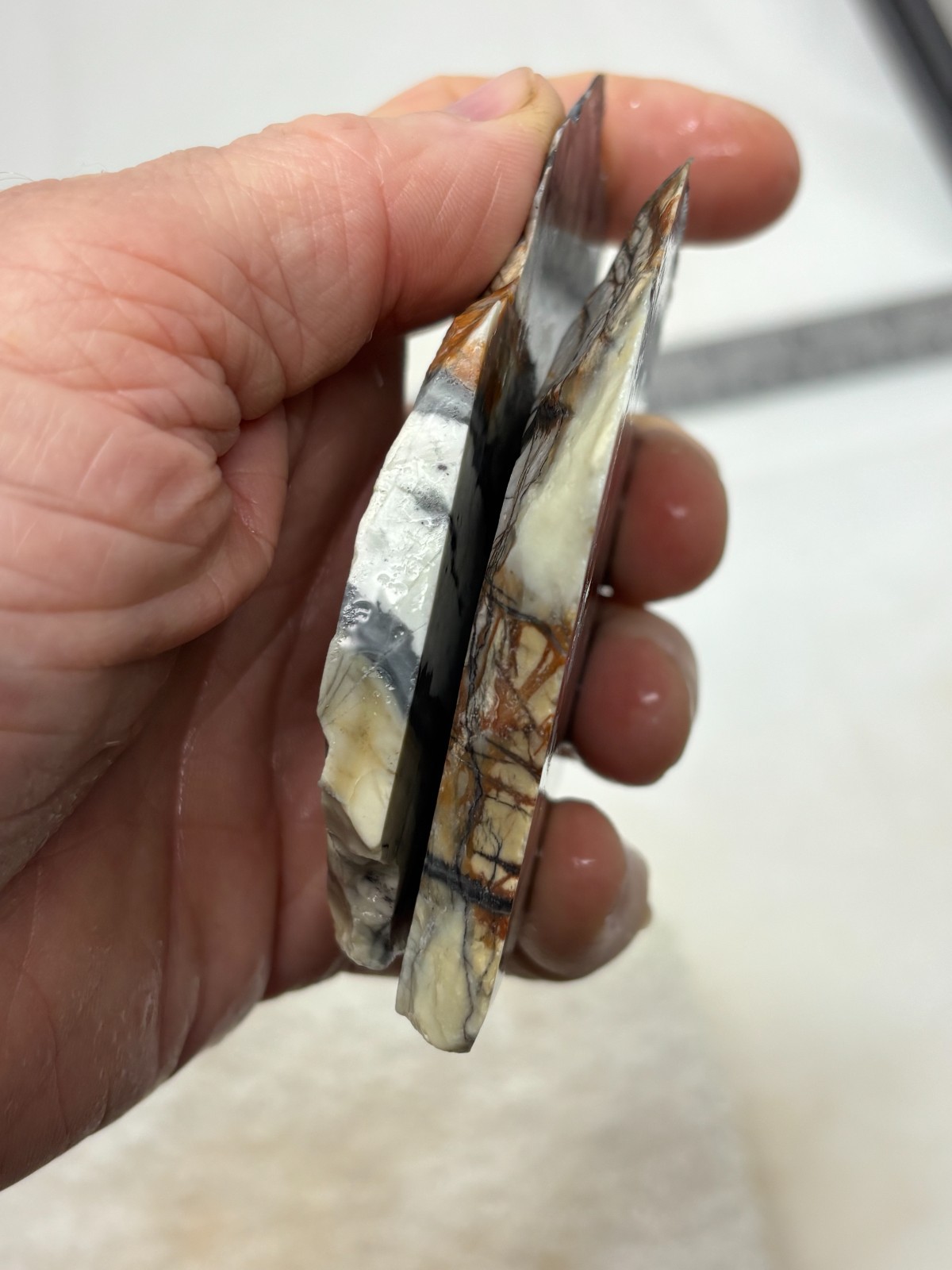 Picasso Marble (Jasper) Slabs Cabbing Lapidary Utah Combo Ship Avail