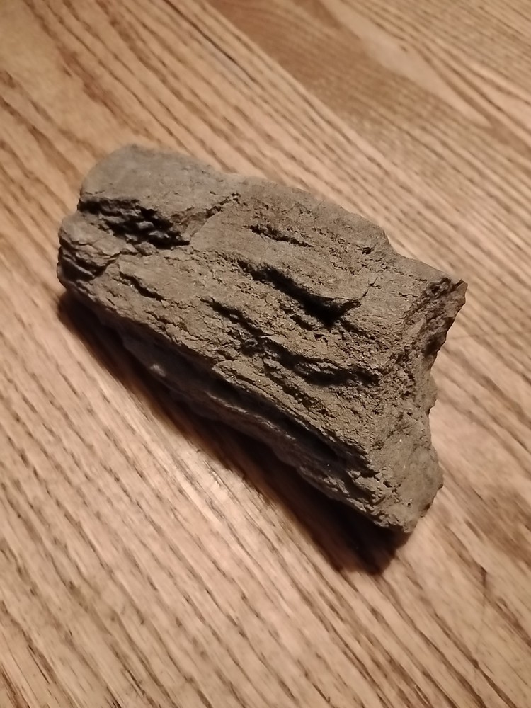 Petrified Wood 738g (Outer Bark)