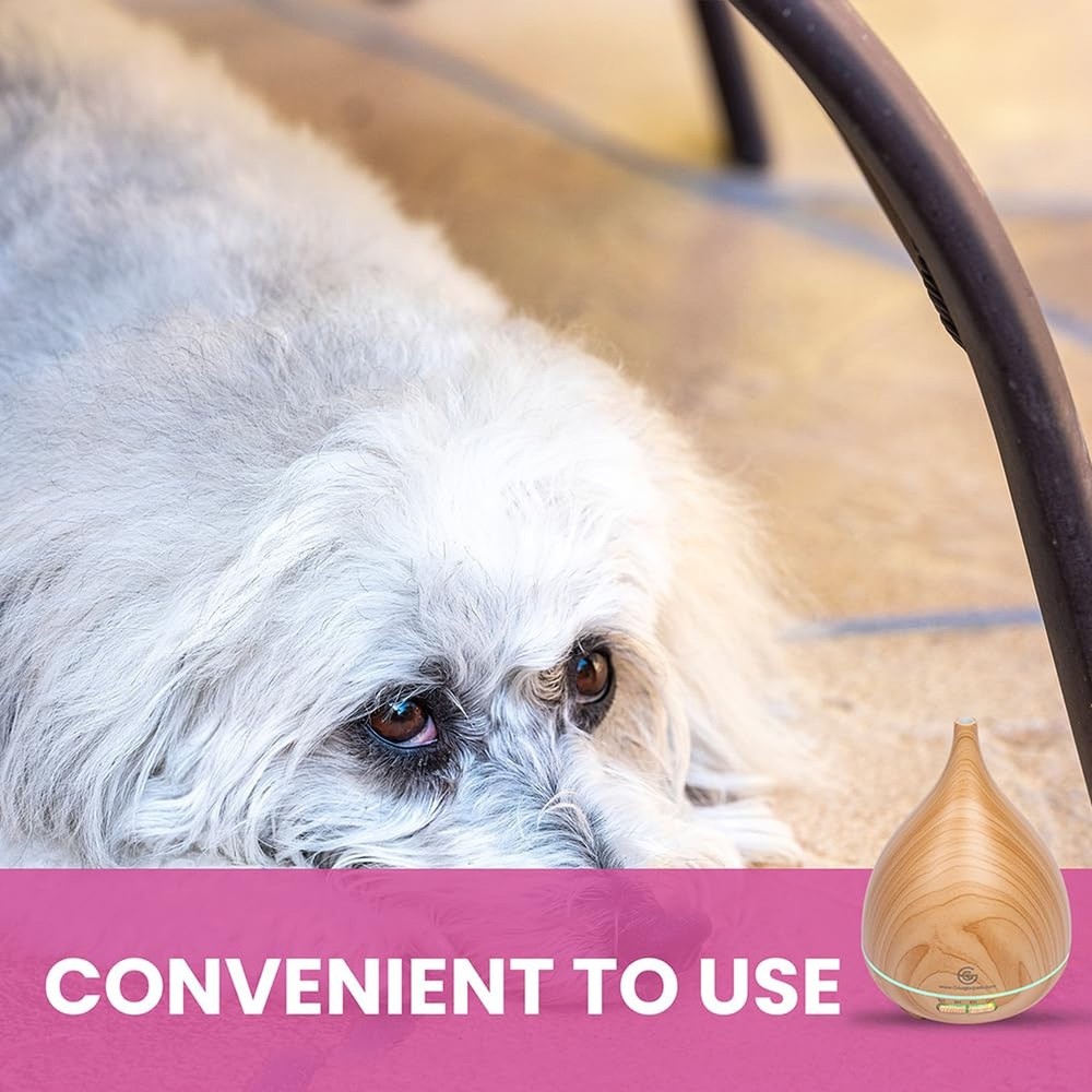 Pets Calming Diffuser for Essential Oils That Relax Your Pet While Providing ...