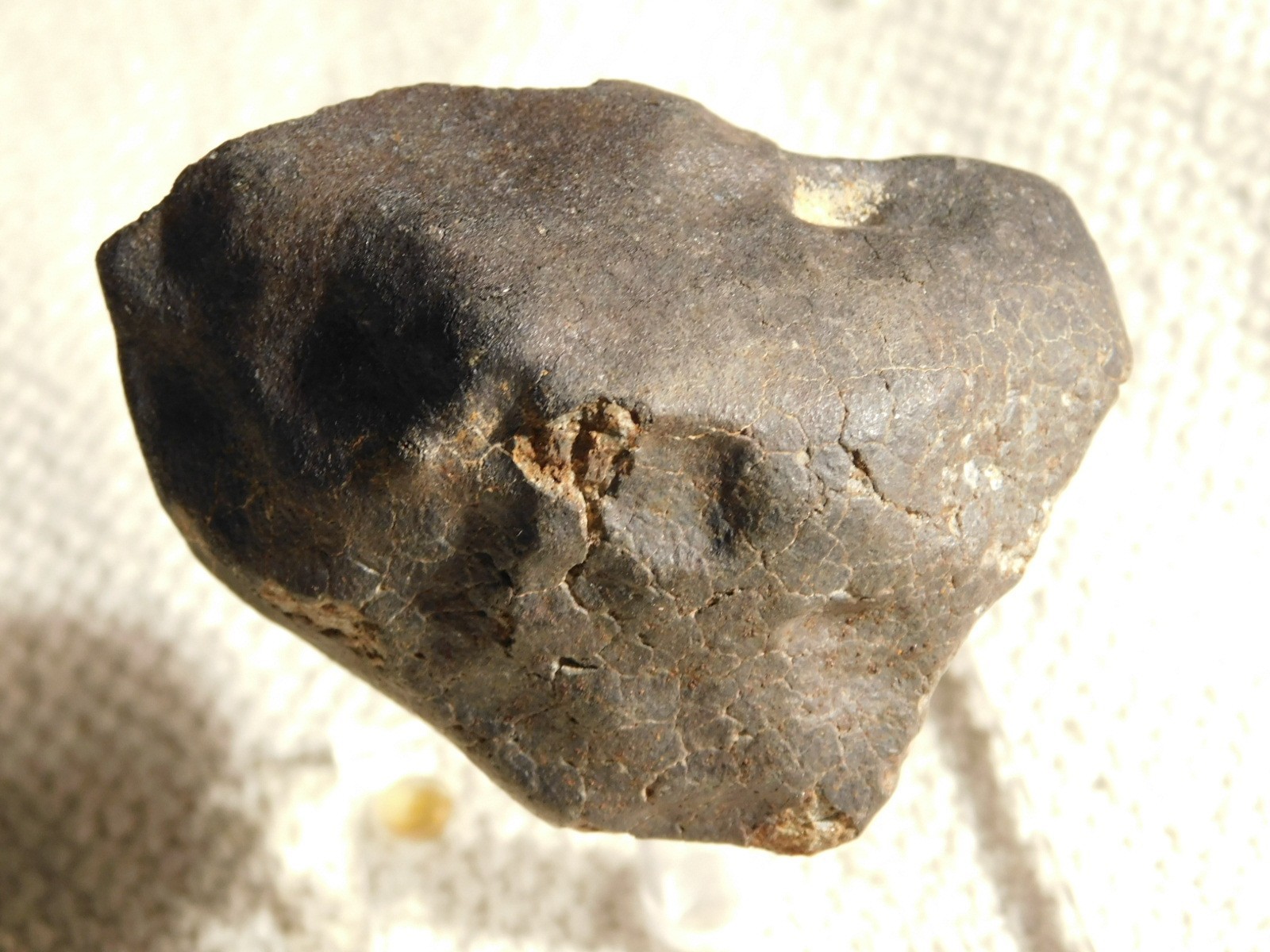 H6 Stony METEORITE Regmaglypts DARK Fusion Crust and Contraction CRACKS! 178gr