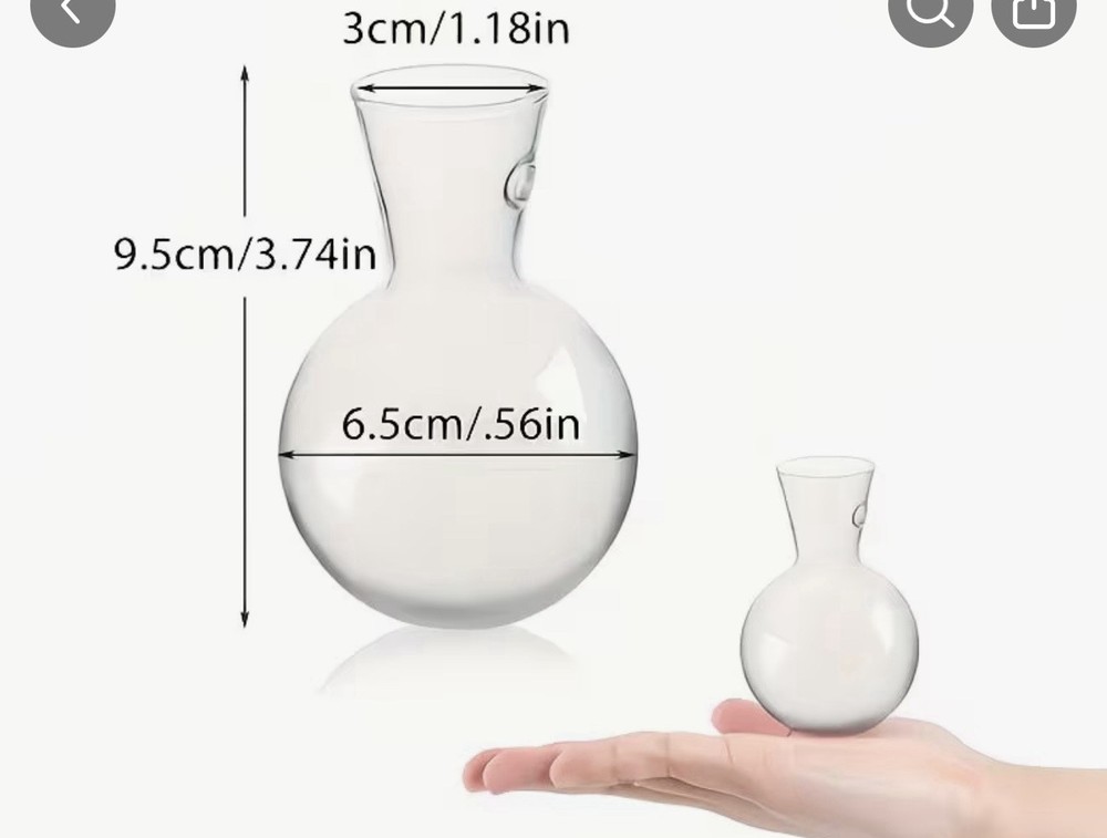 2 Pack Window Propagation Stations Plastic Wall Hanging Planter with Suction ...