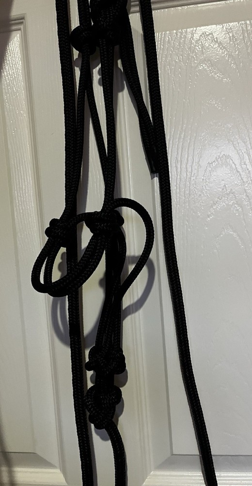 Horse Halter And Leads