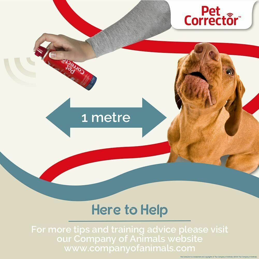 PET CORRECTOR HOLSTER