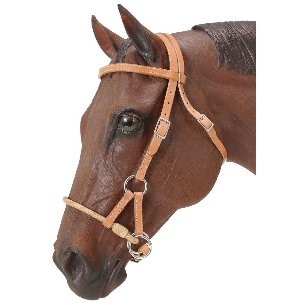 Side Pull Headstall - Rawhide noseband - Light Oil Leather