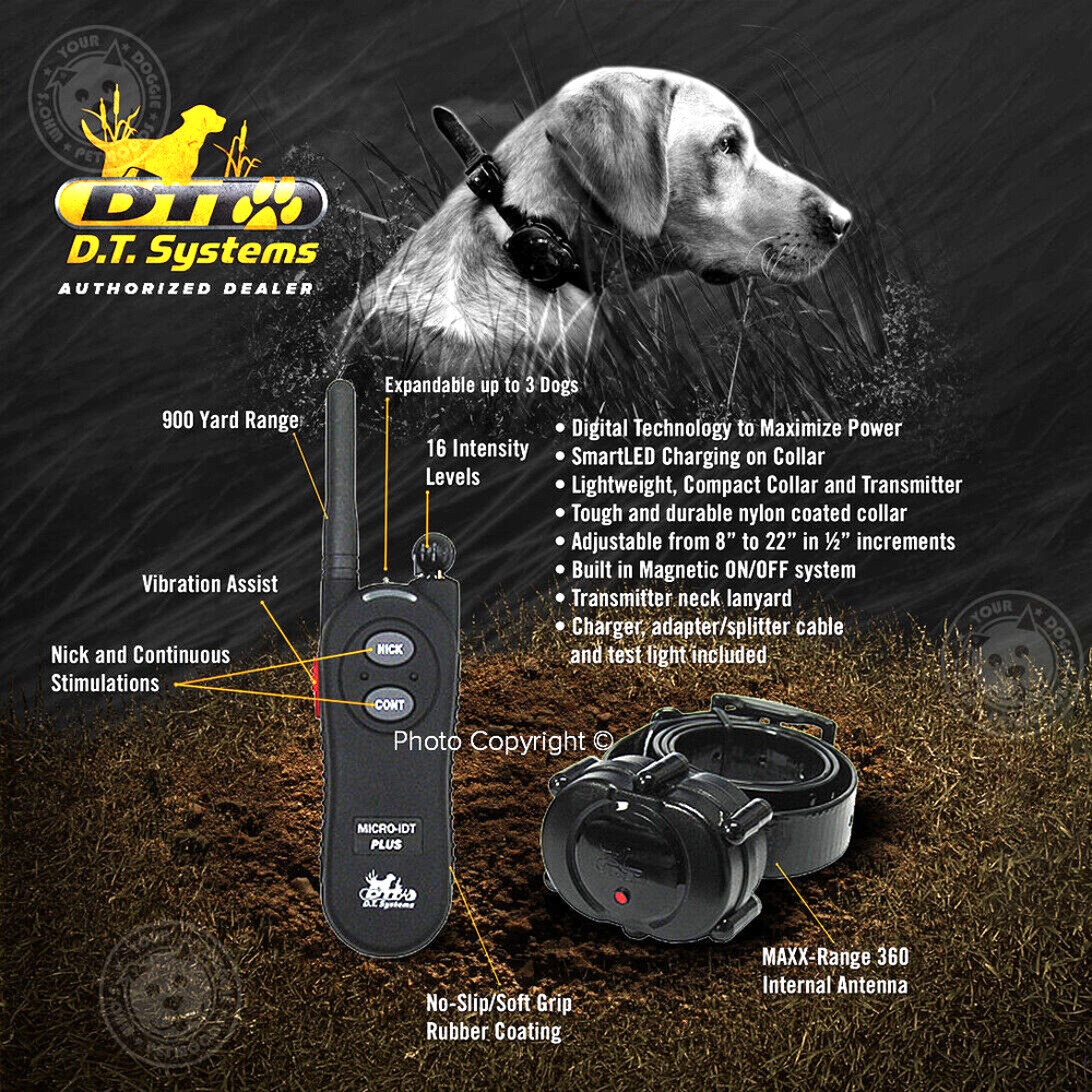 DT Systems Micro-iDT PLUS Expandable Dog Remote Trainer