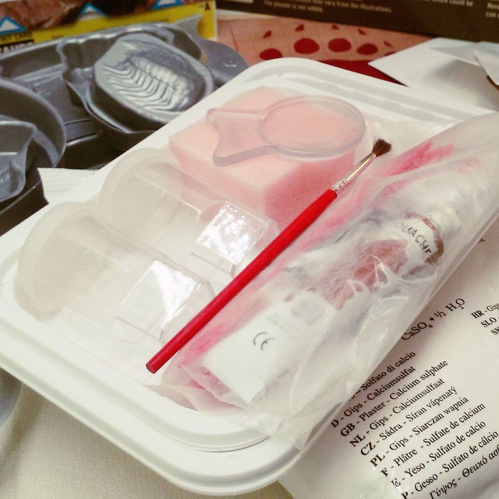 Fossils & Footprints Interactive Evolution Kit #62019 Clementoni Open Box Unused