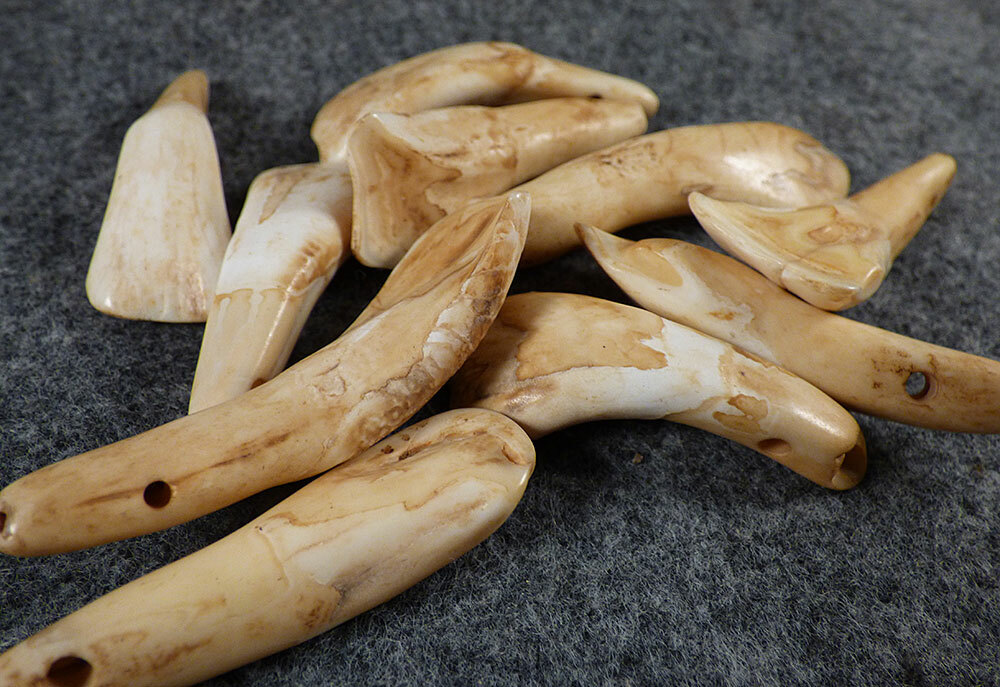 (10) OLD Original Buffalo Teeth Sioux Indian Ornamental Beads Fur Trade 1700's