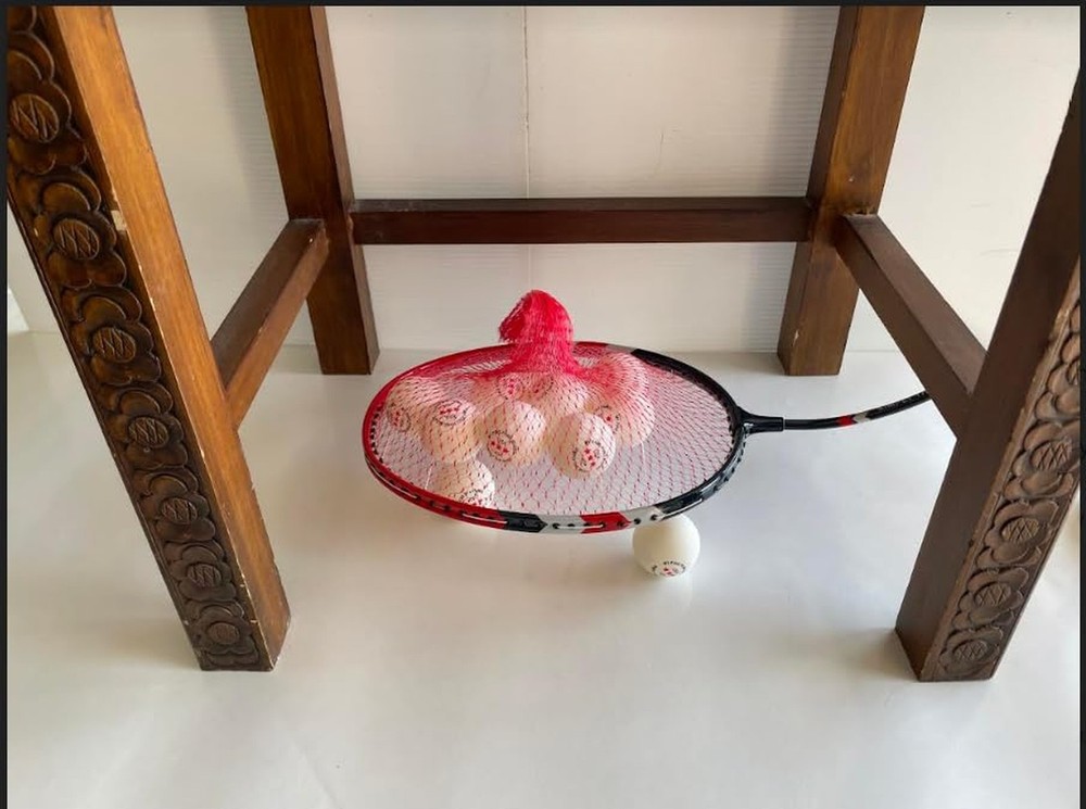 Ping Pong Ball Picker