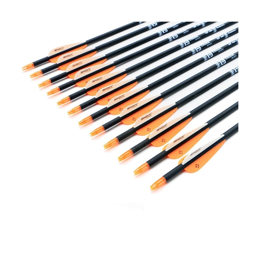 30Inch Carbon Arrow Practice Hunting Arrows with Removable Tips for Compound ...