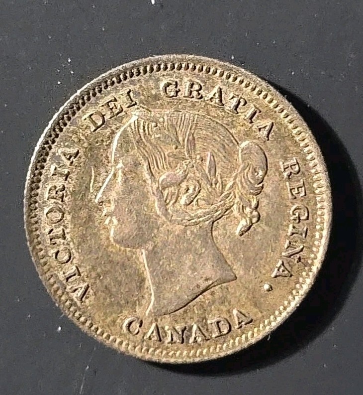 1901 Canada 5 cent silver - Solid XF stk#K970