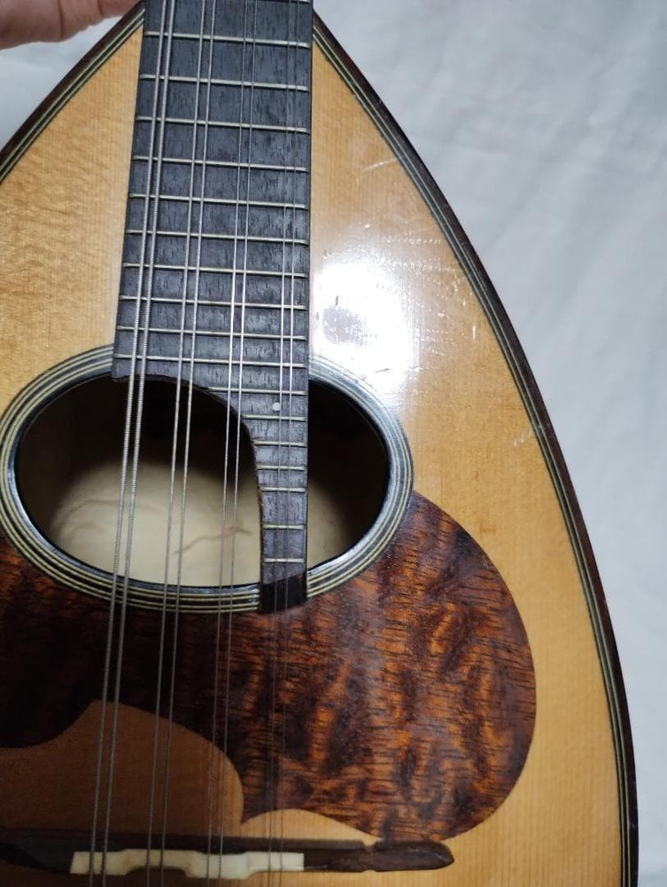 Suzuki Mandolin M-30