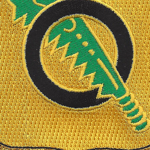 131st Armored Regiment DUI Patch