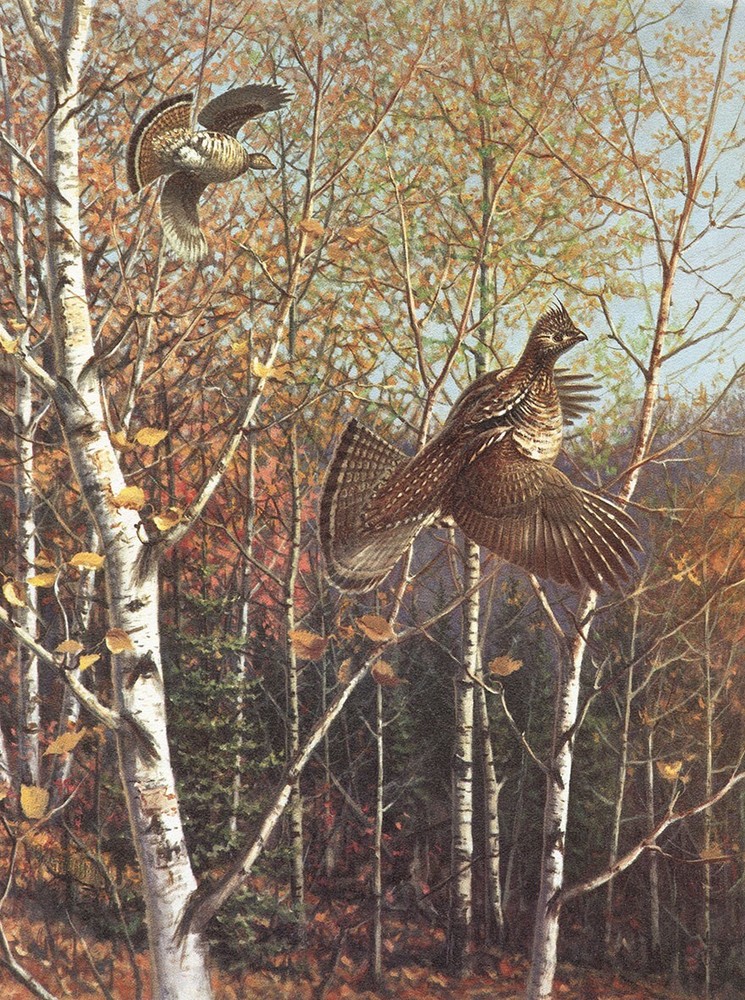 Grouse in Fall  by Lynn Bogue Hunt