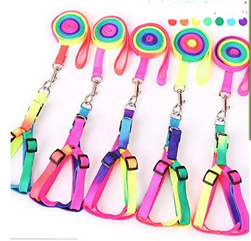 Hypeety Pet Bird Harness and Leash with Buckle Adorable Rainbow Design Safe P...