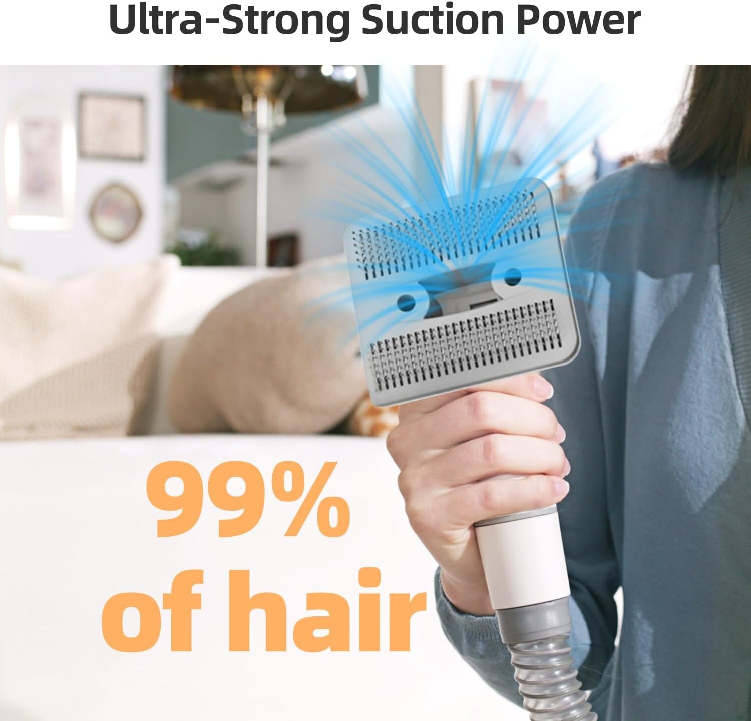 Dog PET Grooming Kit with Vacuum Suction, 12 Grooming Tools, 2.5L Grey