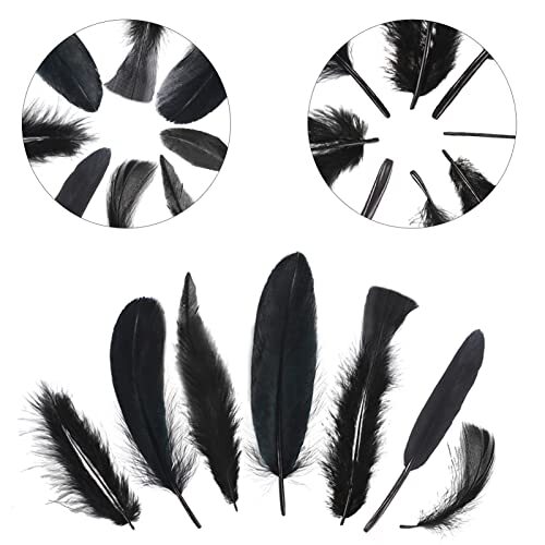 Black Craft Feathers Bulk 8 Styles - 320 PCS Assorted Mixed Natural Feathers