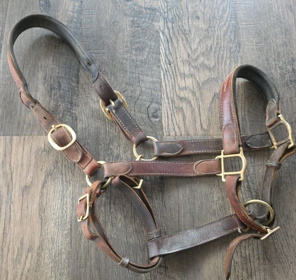 Horse Halter