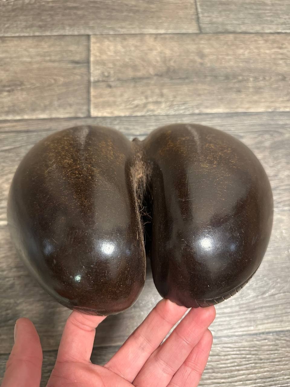 Antique Coco De Mer Nut Seed Basket