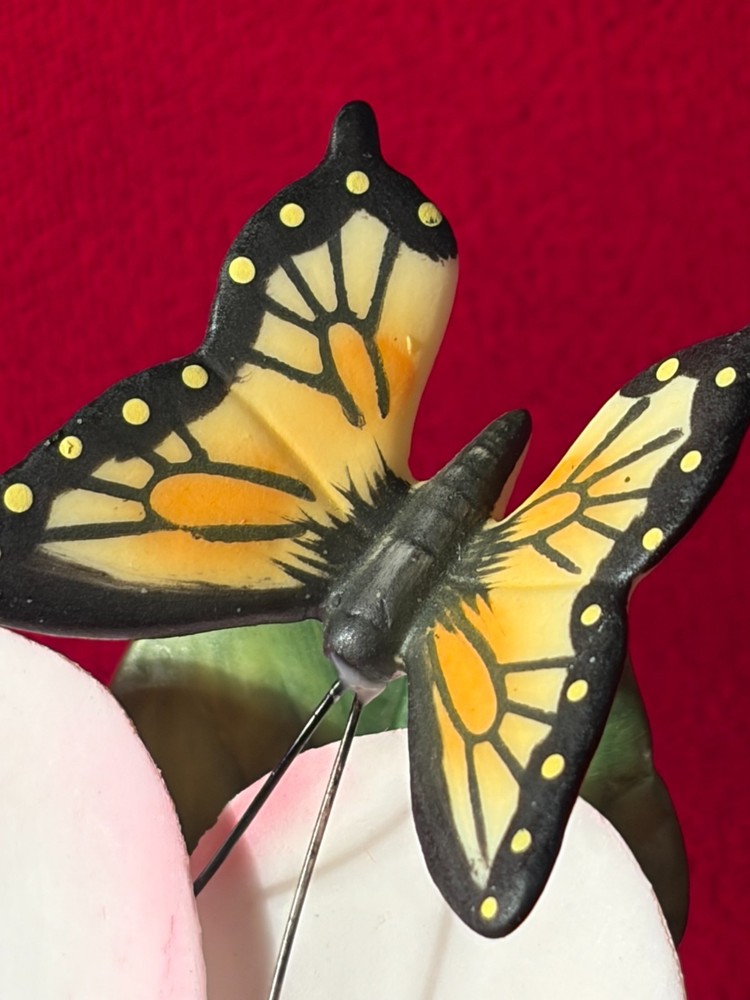 Monarch Butterfly on Flower