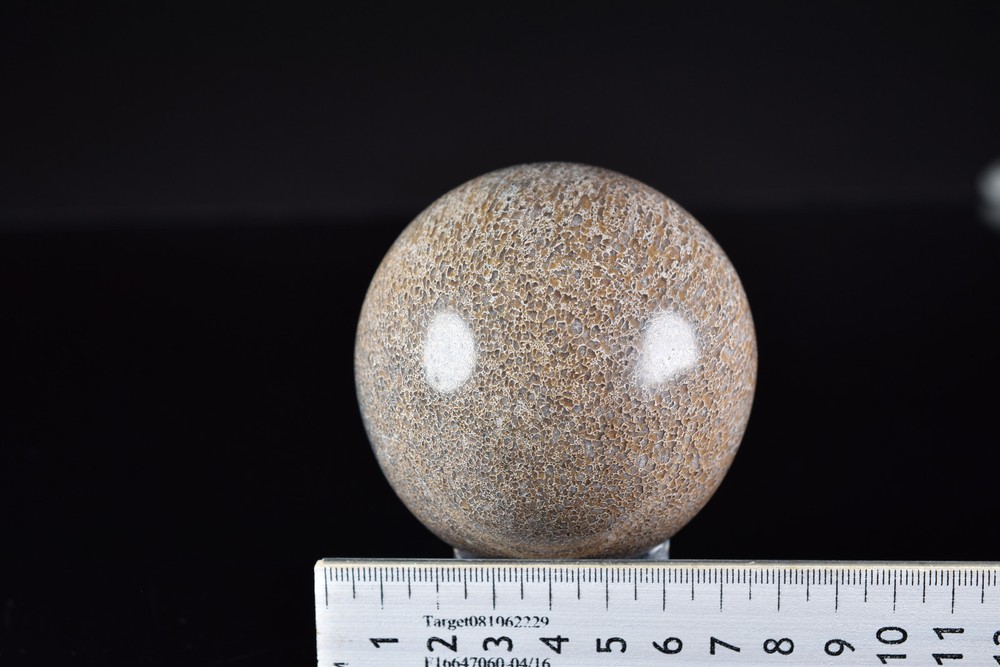 Dinosaur Bone Sphere from Morocco 7.6 cm # 20121