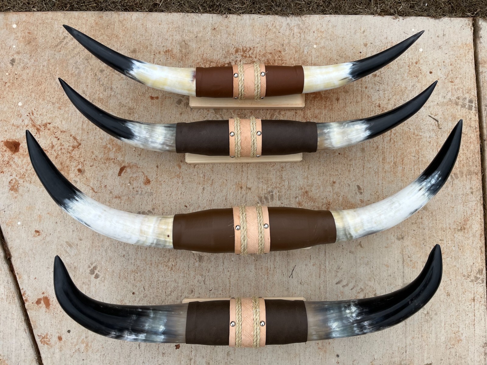 MOUNTED STEER HORNS (ONE ONLY) 36" to 40" inch wide LONGHORN POLISHED BULL COW