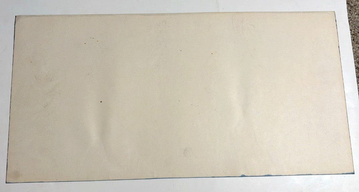 Vintage Original 1969 VAN MORRISON Avalon Concert Poster RICK GRIFFIN Junkyard