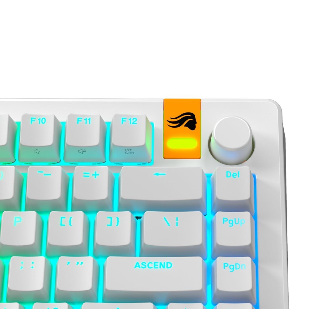 Glorious Gaming - GPBT Backlit Keycaps (White) Translucent Shine Through Lege...