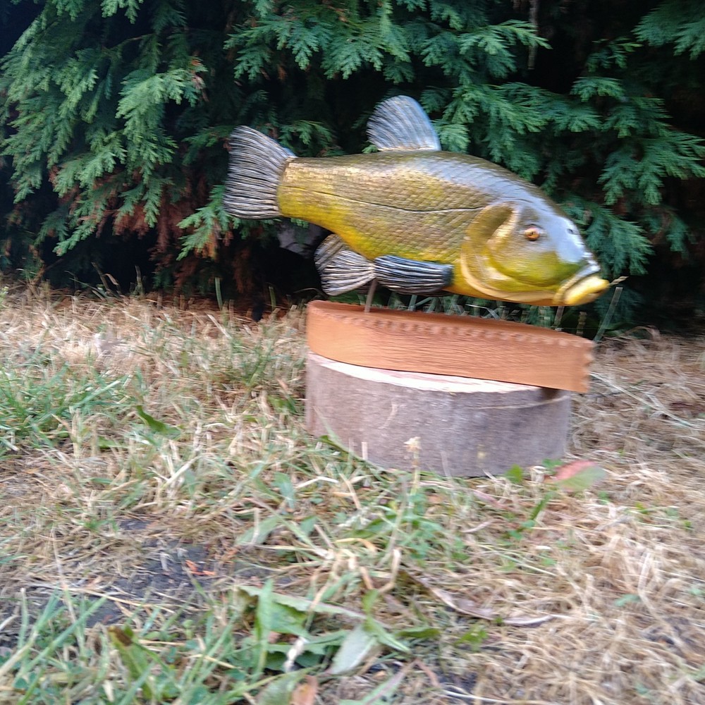 Tench Fishing , fish