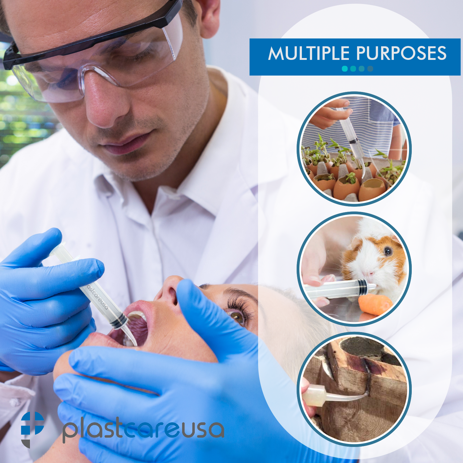 Curved Tip 12cc Oral Irrigation Syringes Disposable Dental Utility (Choose Qty)