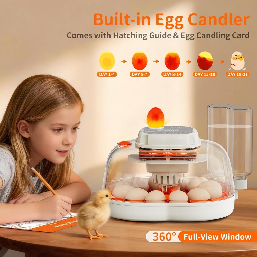 Elegant Egg Incubator with Automatic Turning & Temperature Control for 12 Eggs