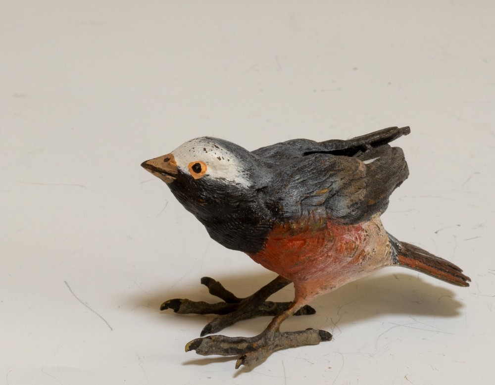 COLD PAINTED BRONZE BIRD