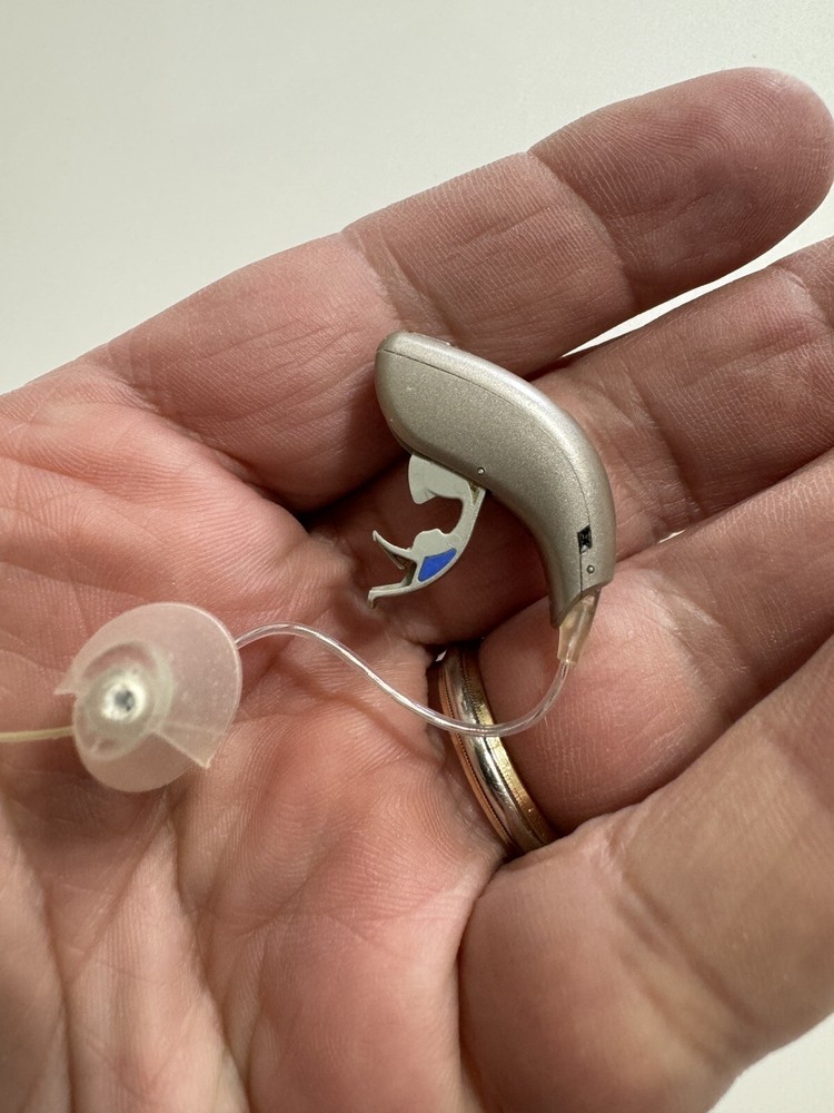 axgo k130 hearing aids Untested.