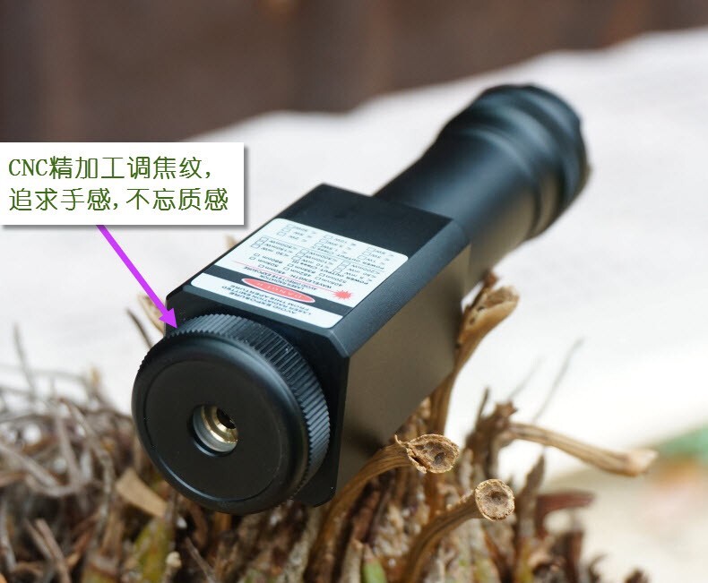 Waterproof 405nm 1mw Violet Blue Light Flashlight Focusable Laser Module