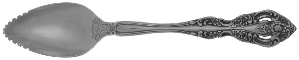 Oneida Silver Michelangelo  Fruit Orange Spoon 497082