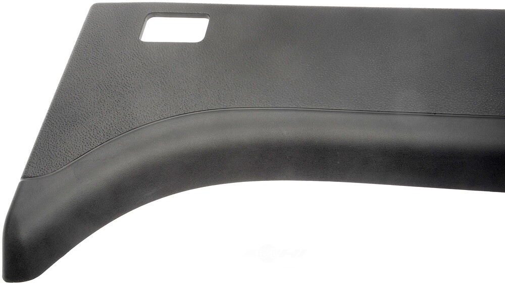 Body Molding Dorman (OE Solutions) 926-914