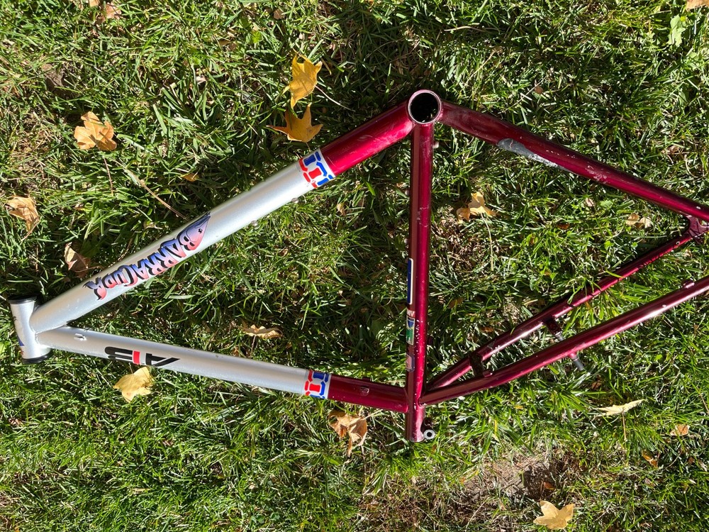 Barracuda A2B Cromo Bike Frame 18”