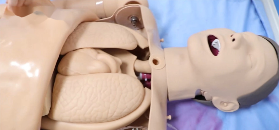 Full Functional Nursing Mannequin Advanced Patient Care Training Model CPR