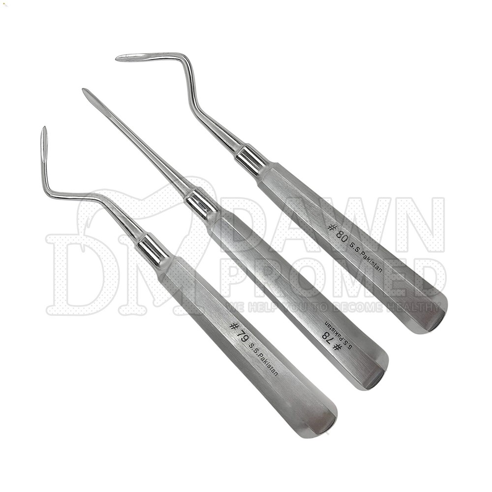 3 Pcs Dental Root Elevators Heidbrink Oral Surgery Luxating Root Picker Elevator