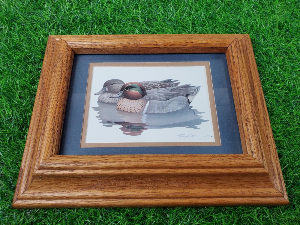 Richard Sloan Green-Wing Teal & Pin-Tail Ducks Signed Prints in Solid Oak Frames
