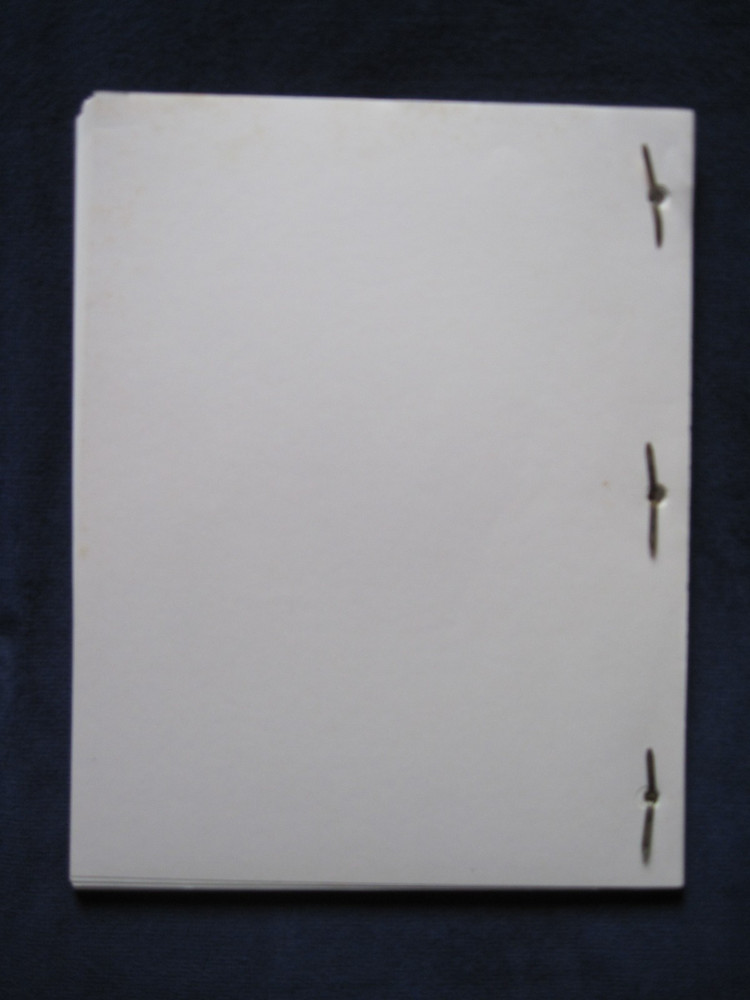 ALL THE PRETTY HORSES SCRIPT BASED ON CORMAC MCCARTHY NOVEL, OSCAR CONSIDERATION