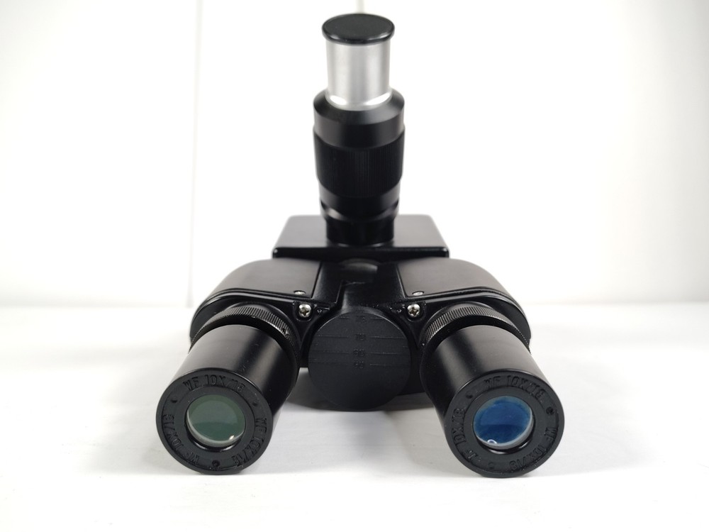AmScope Trinocular Microscope Head with (2) 10X/18 Eyepieces - Black