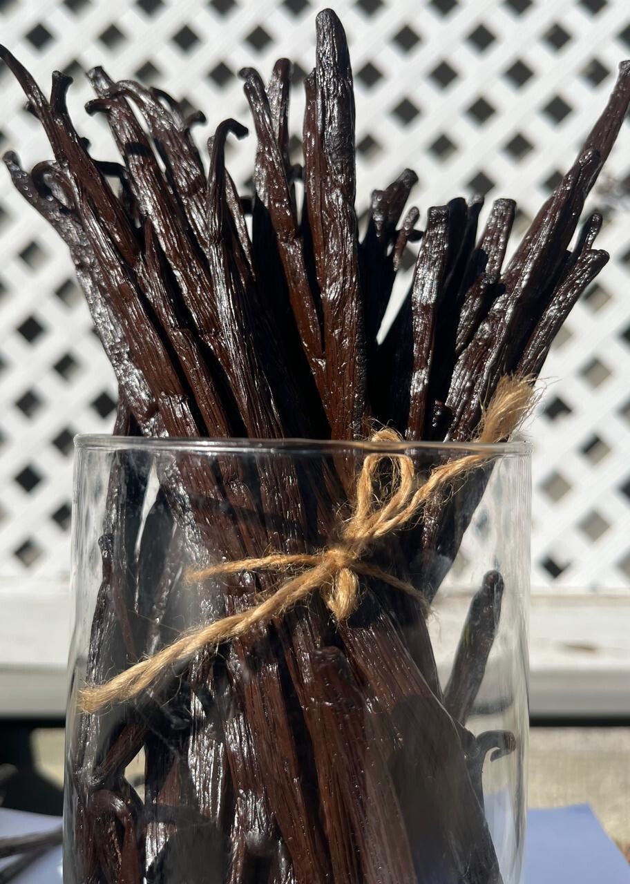 Madagascar Grade A Bourbon Organic Vanilla Beans [6-8 inches]