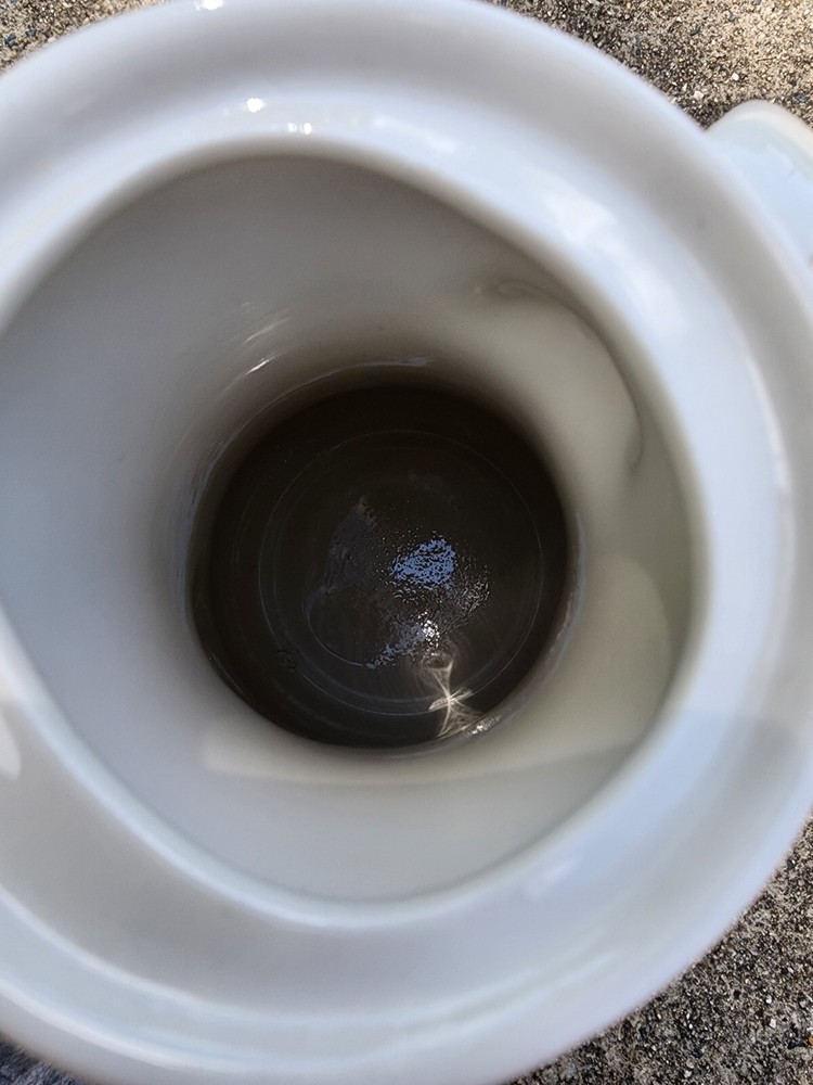 Impromptu By IROQUOIS White Pitcher