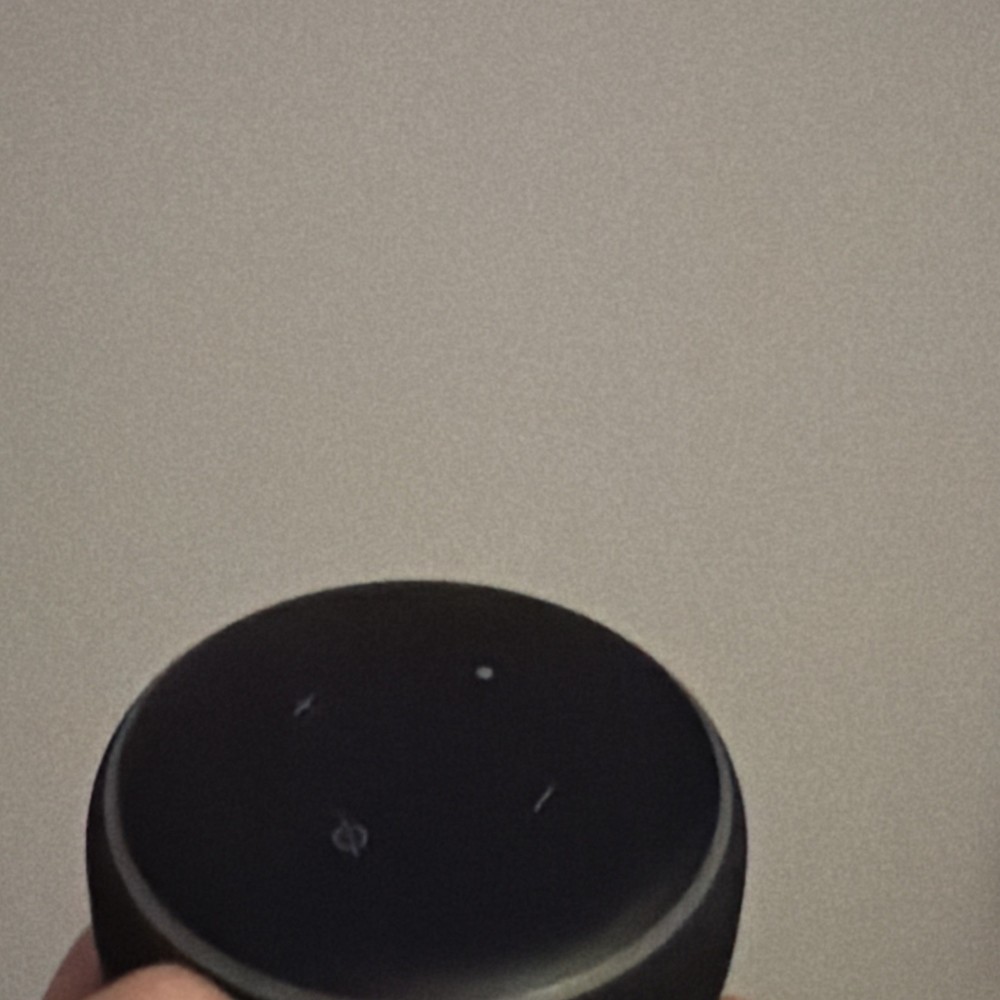 Amazon Alexa Smart Speakers and Plug Set